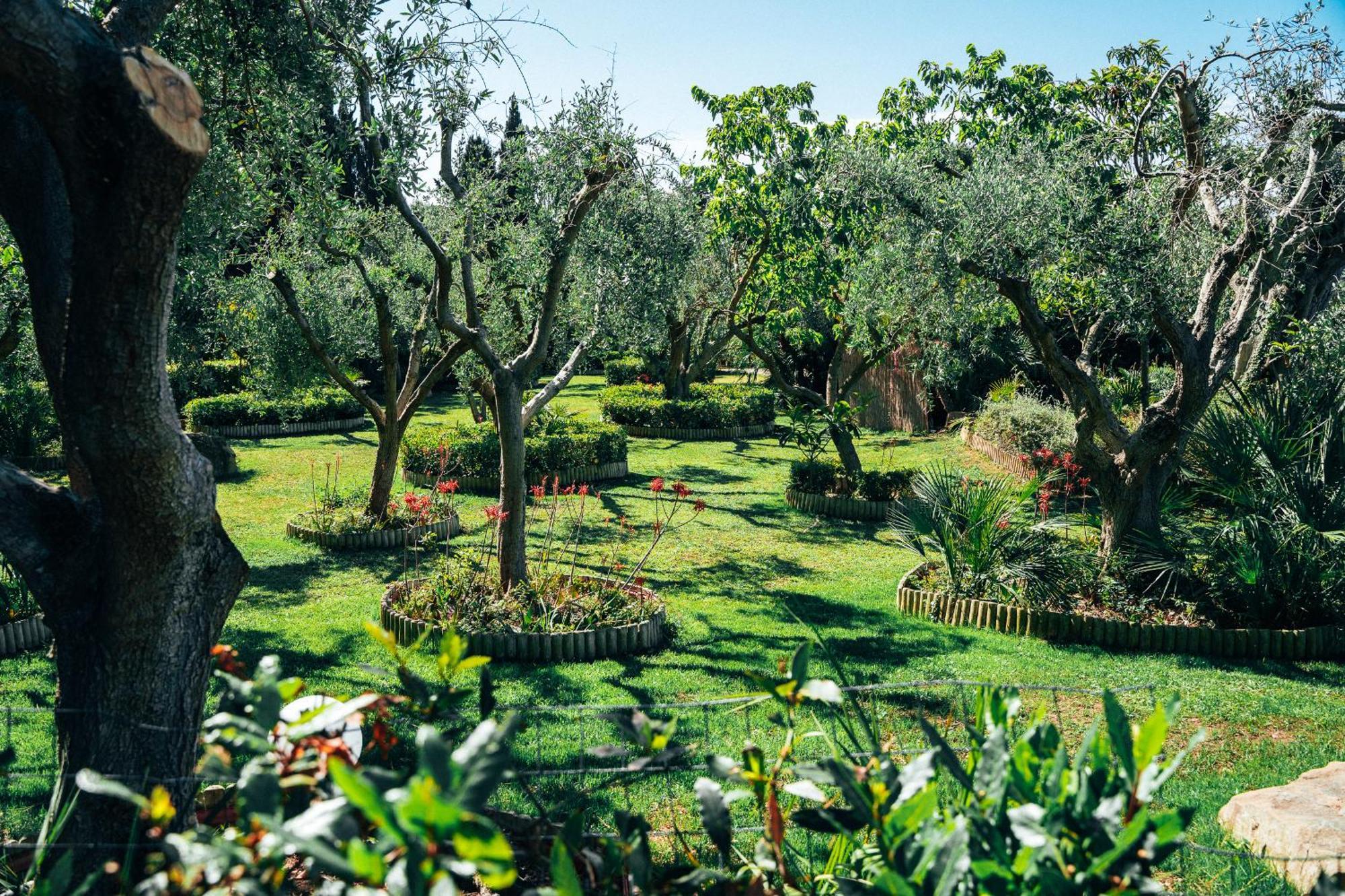 Residence Solemaremma Castiglione della Pescaia Dış mekan fotoğraf