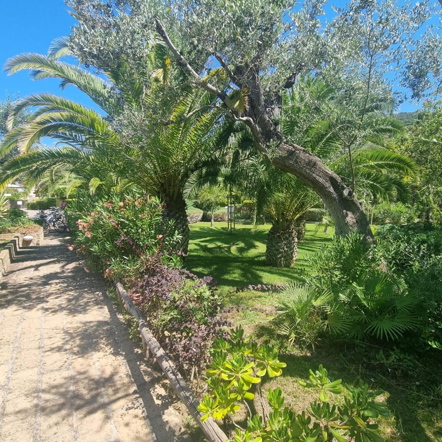 Residence Solemaremma Castiglione della Pescaia Dış mekan fotoğraf
