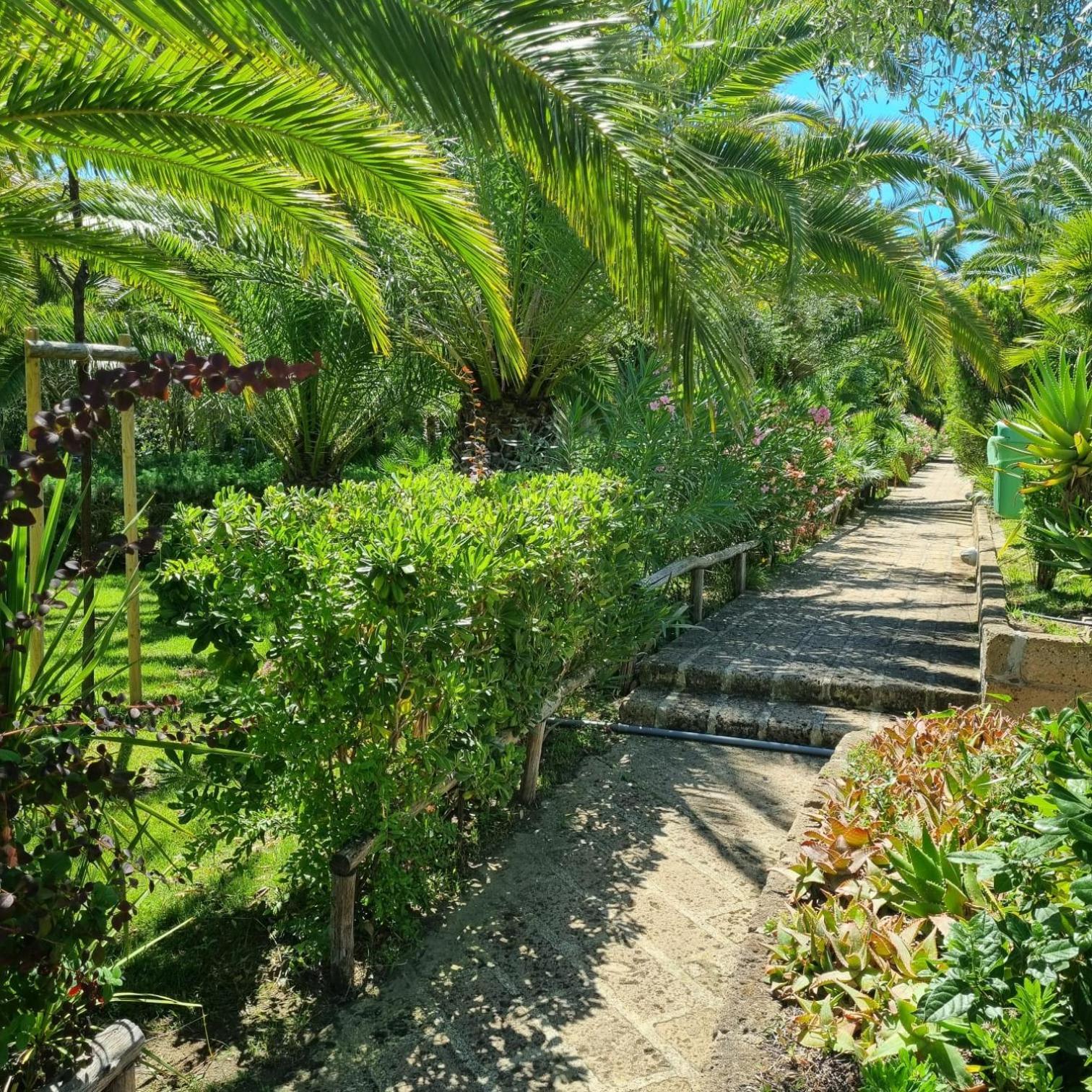 Residence Solemaremma Castiglione della Pescaia Dış mekan fotoğraf