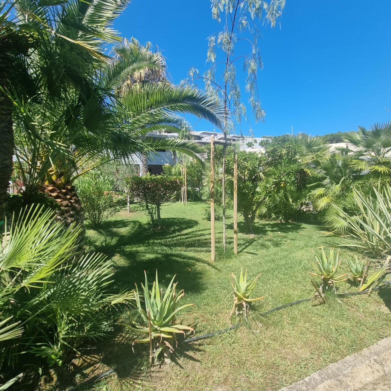 Residence Solemaremma Castiglione della Pescaia Dış mekan fotoğraf